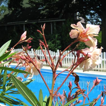 Guest House Westwood Kraljevec Kupinecki Quarto foto