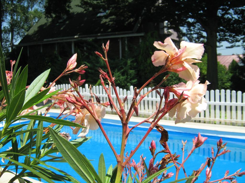 Guest House Westwood Kraljevec Kupinecki Quarto foto